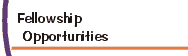fellowships